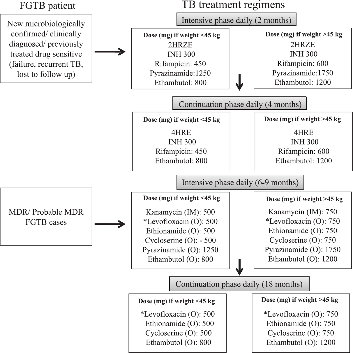 Treatment regimens for female genital tuberculosis (FGTB). *Moxifloxacin to be given, if resistance to levofloxacin. Recently, 4 drug fixed dose combination (FDC) HRZE (75, 150, 400, 275) has been introduced. HRZE, isoniazid, rifampicin, pyrazinamide and ethambutol; INH, isoniazid; MDR, multi-drug resistant resistant; IM, intramuscular; O, oral. Source: Refs 13811.